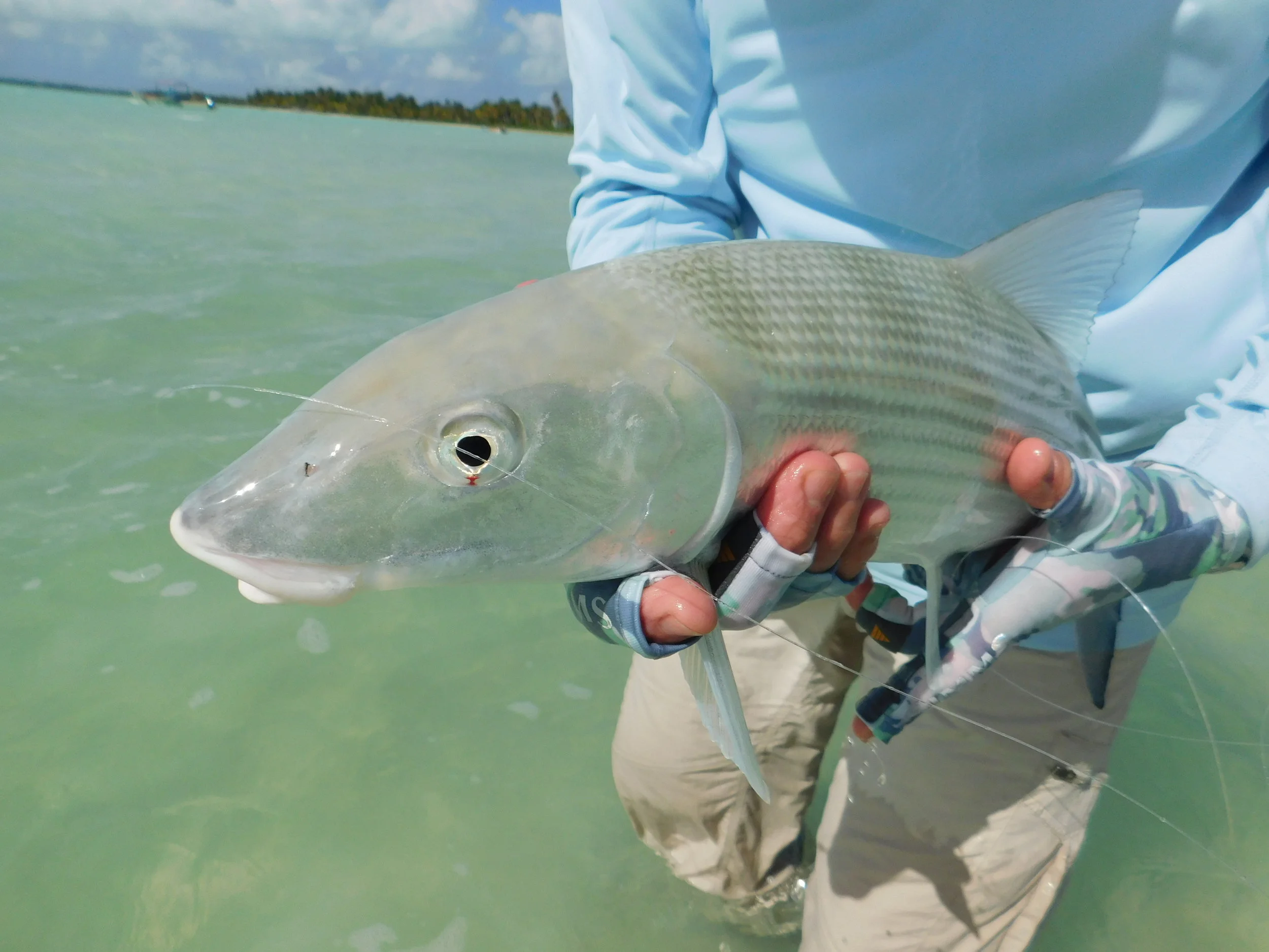 Kiribas and fiji 038.JPG