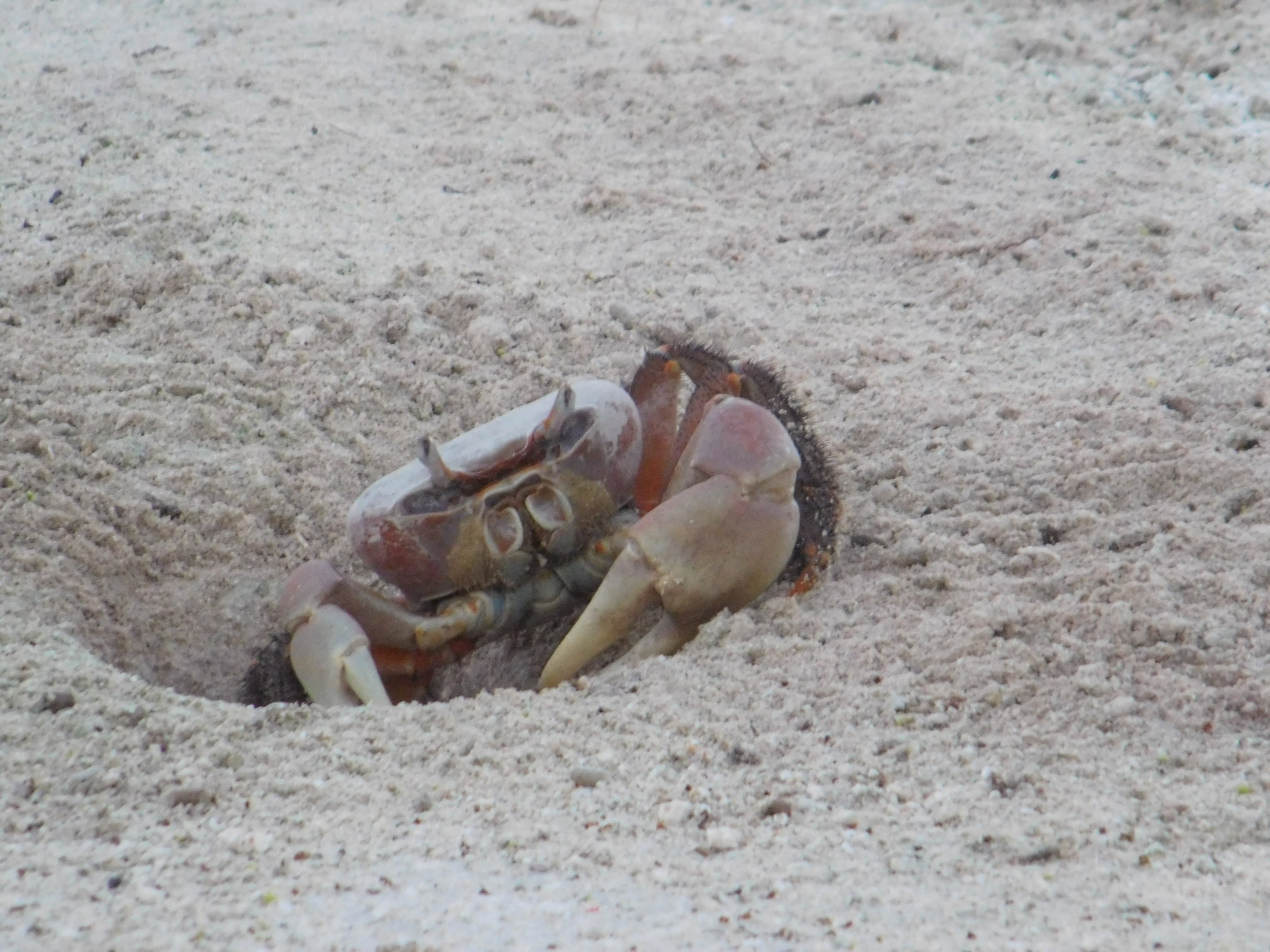 Kiribas and fiji 074.JPG