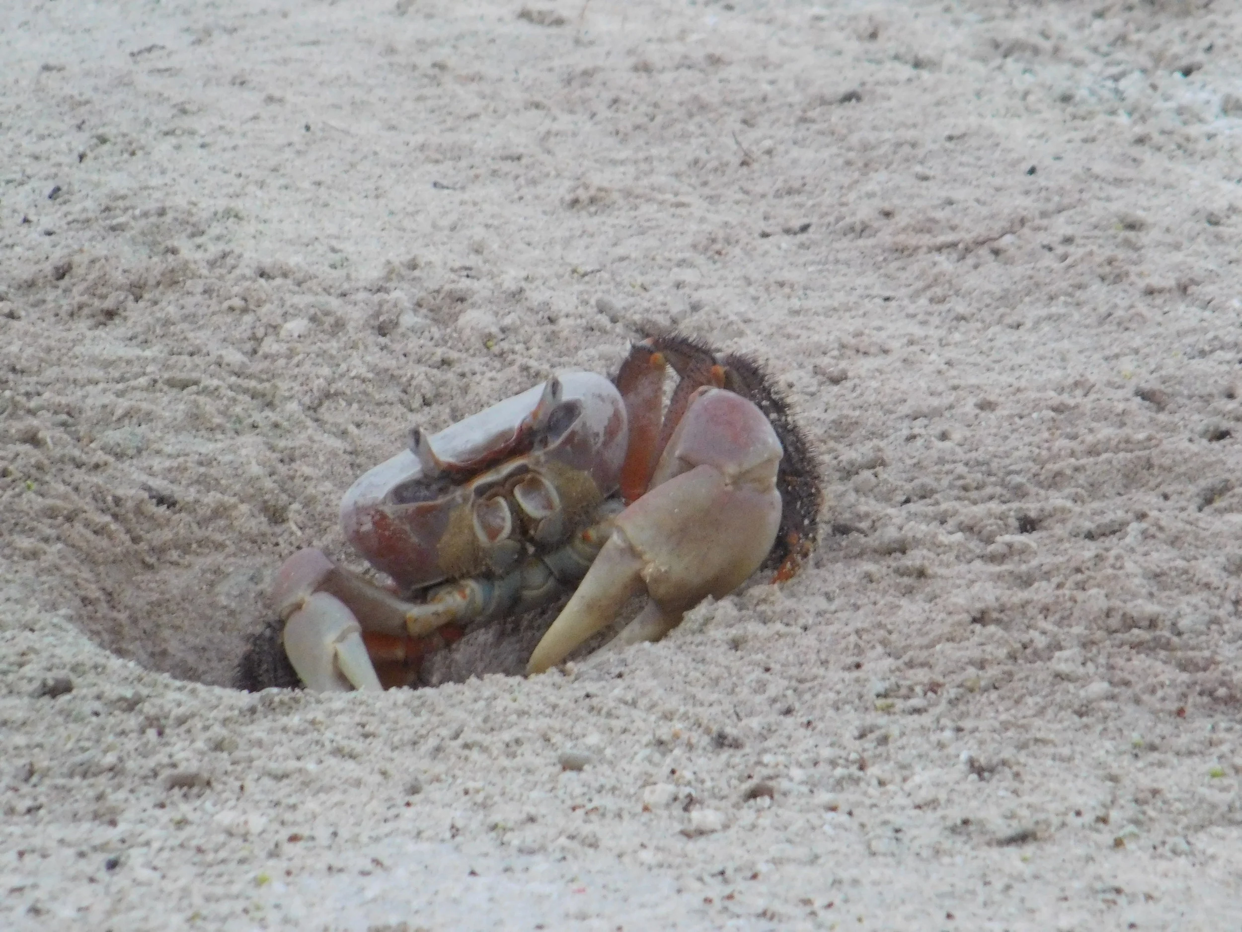 Kiribas and fiji 074.JPG