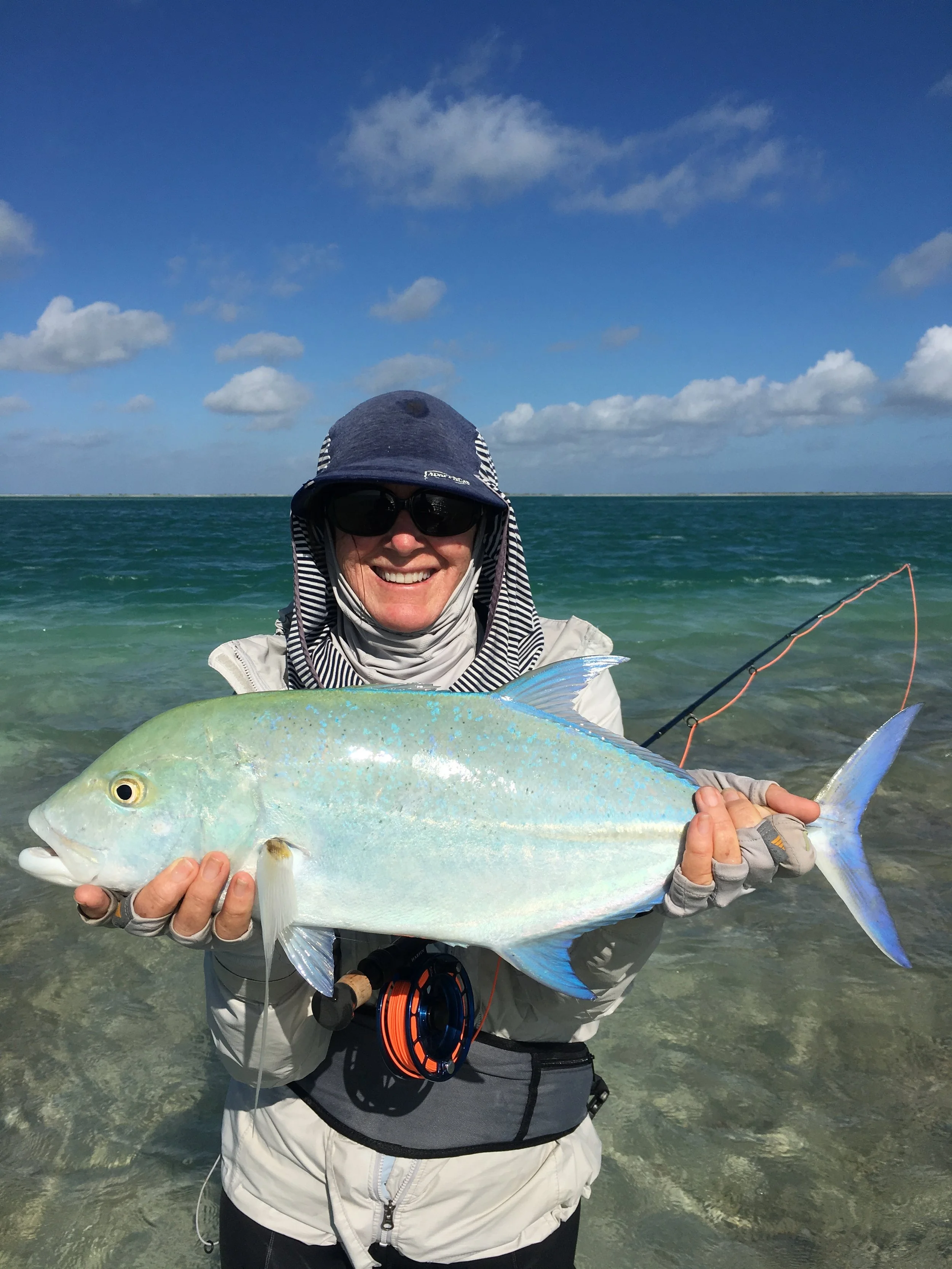 Blue Trevally.jpg