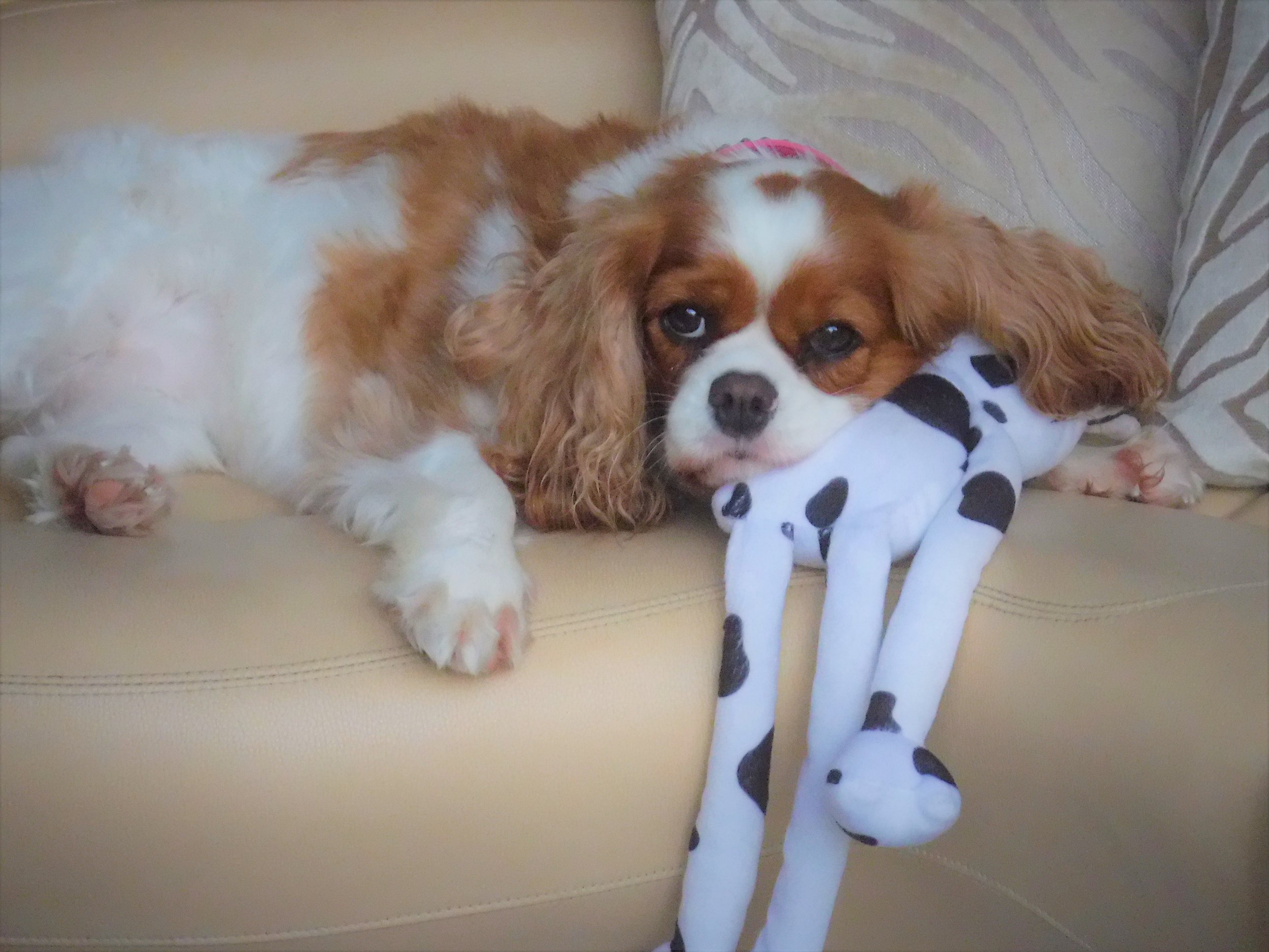 Ho Hum, just another winters day in paradise