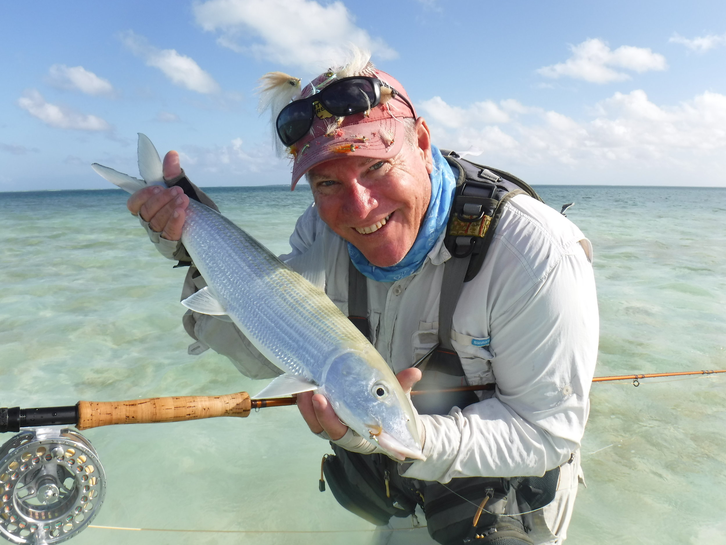 The fish it is all about. A Christmas Island Bonefish