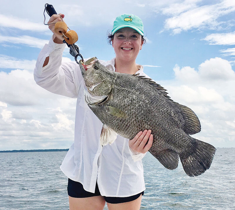 WTF tripletail.jpg