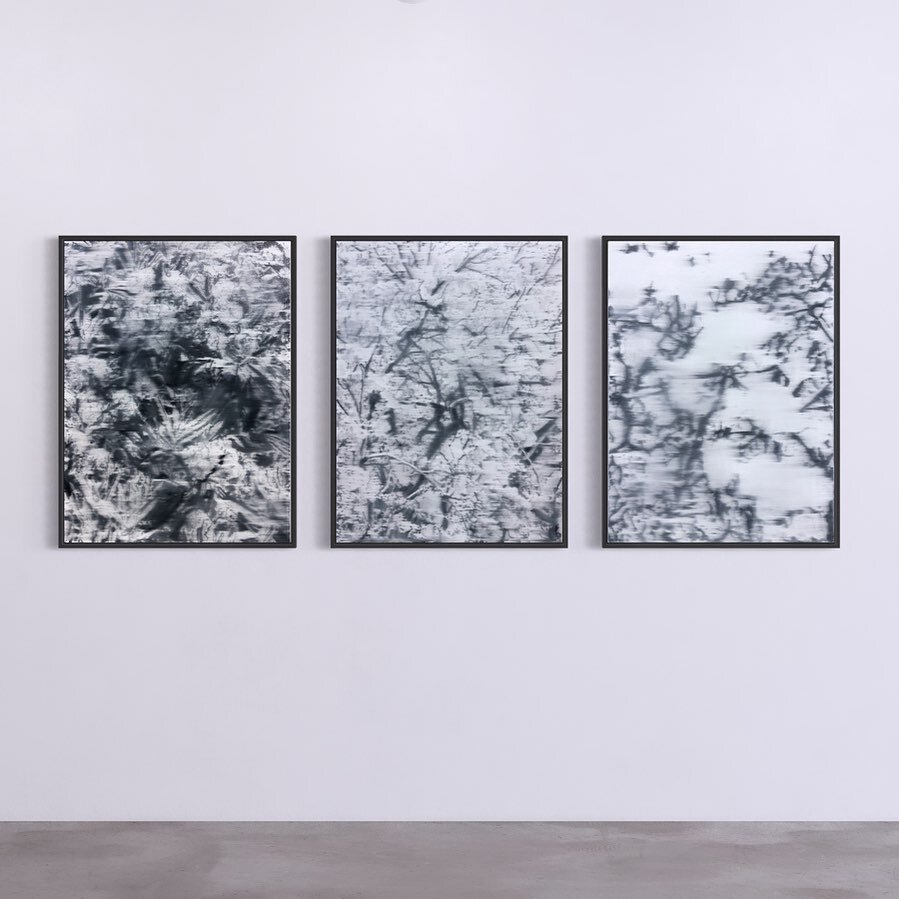 3 x | Blossom | Series, 80x60cm, oil on Canvas, steel frame 

#contemporaryart #contemporarypainting #blackandwhite #cherryblossom