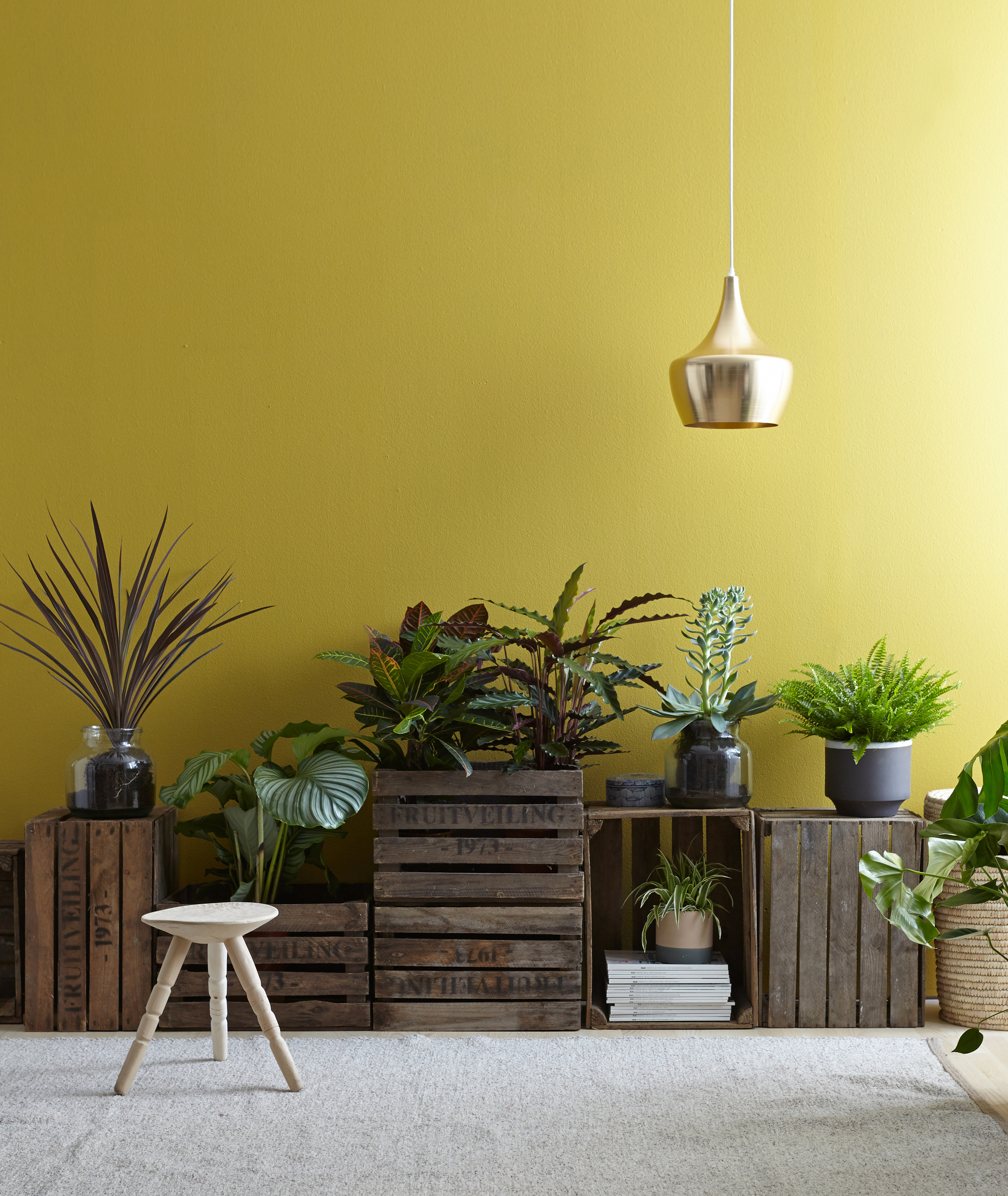 budgetlyx04473 (1) .jpg