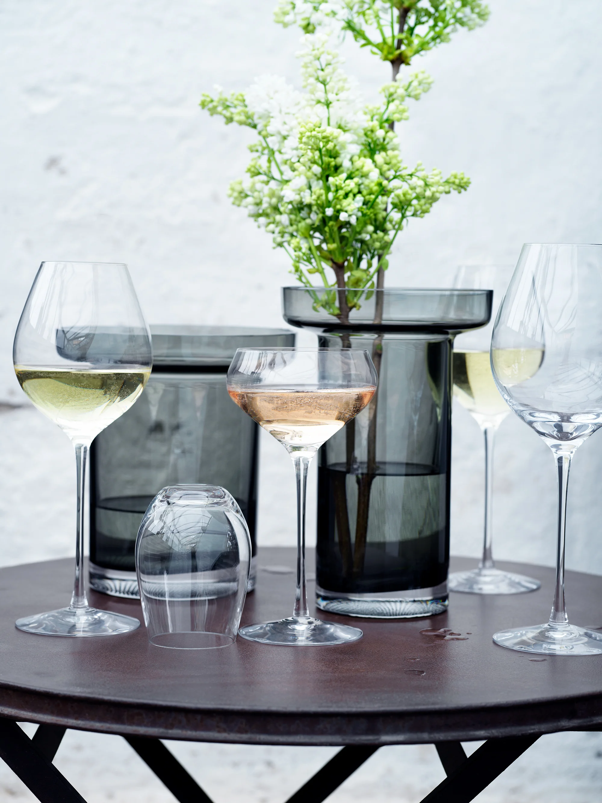 Cervera mars 18 Blavarg_0562.jpg