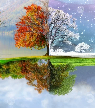 changing seasons.jpg