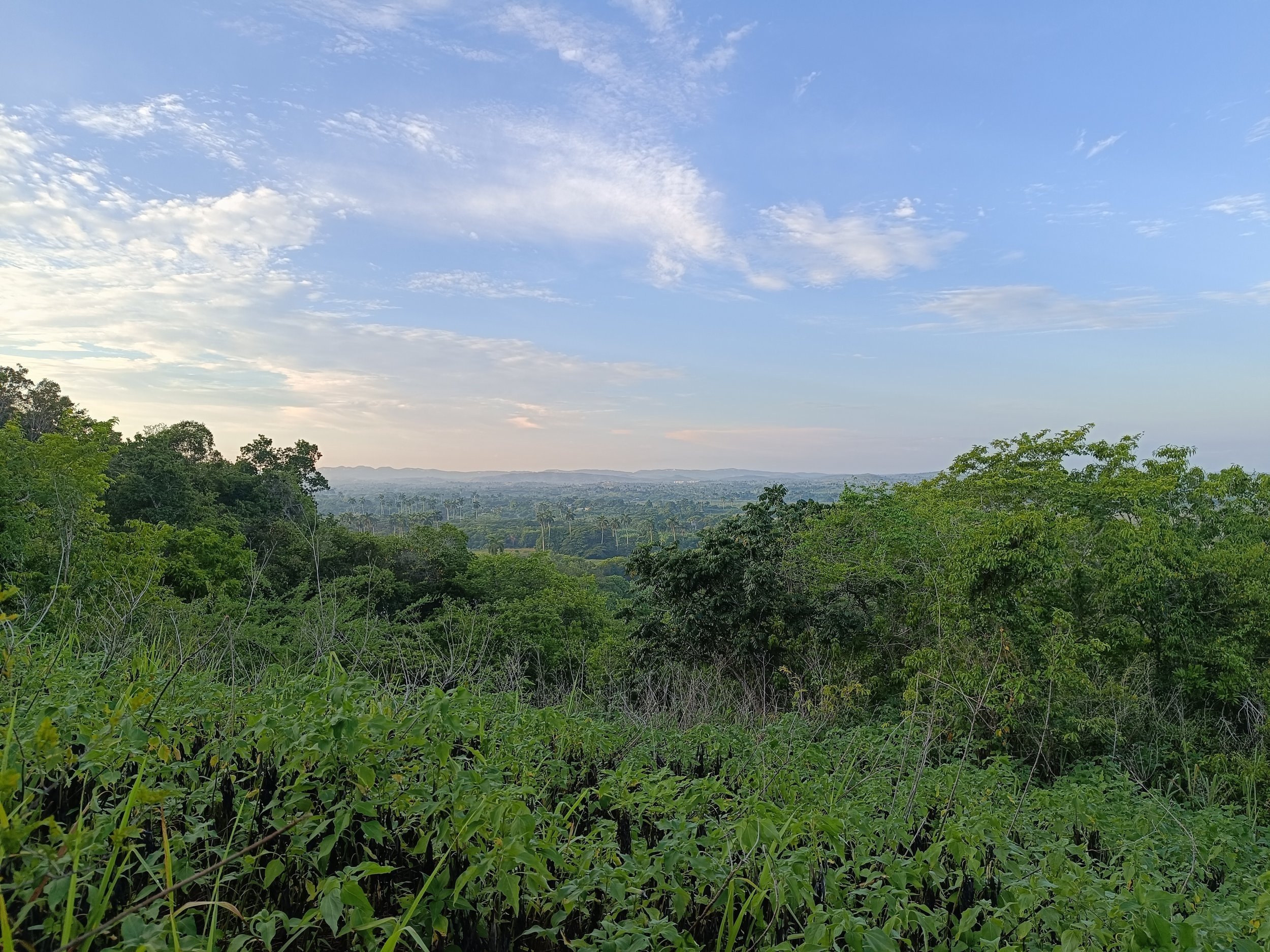 Finca.jpg