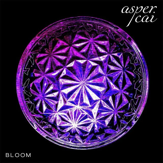 &ldquo;Bloom&rdquo; by Asper Cai is out now!
.
Available on Spotify, iTunes, Apple Music and more!
.
Visit www.aspercai.com