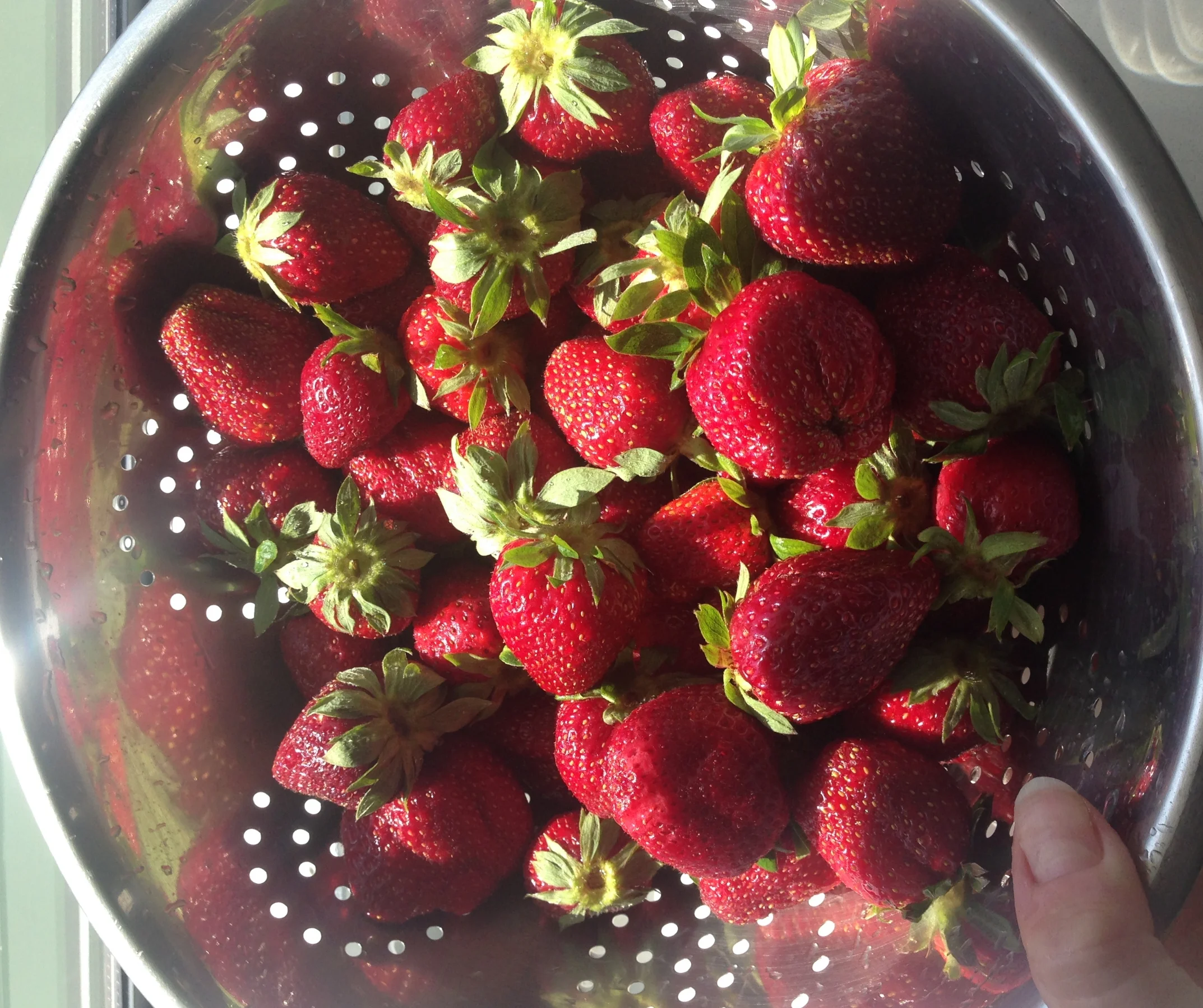 A normal day in life of me. 