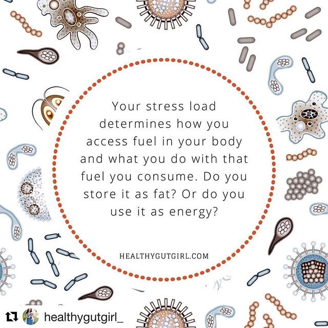 Love this by @healthygutgirl_ 
Many people think metabolism has to do with genes, age and exercise.
And though in a general sense those three play a role in metabolism, there are bigger players at work when you look a little deeper.
Hormones are the 