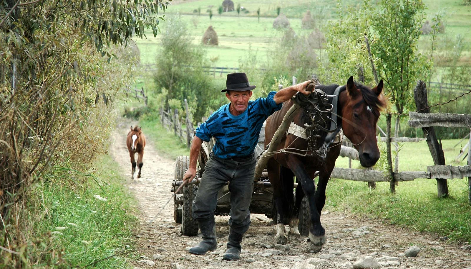 No Further Instructions