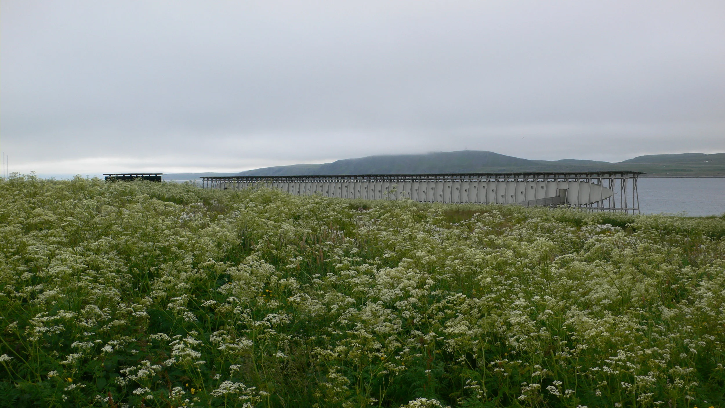 Steilneset Memorial in Vardø, Peter Zumthor. © Susana Ventura, July 2014.