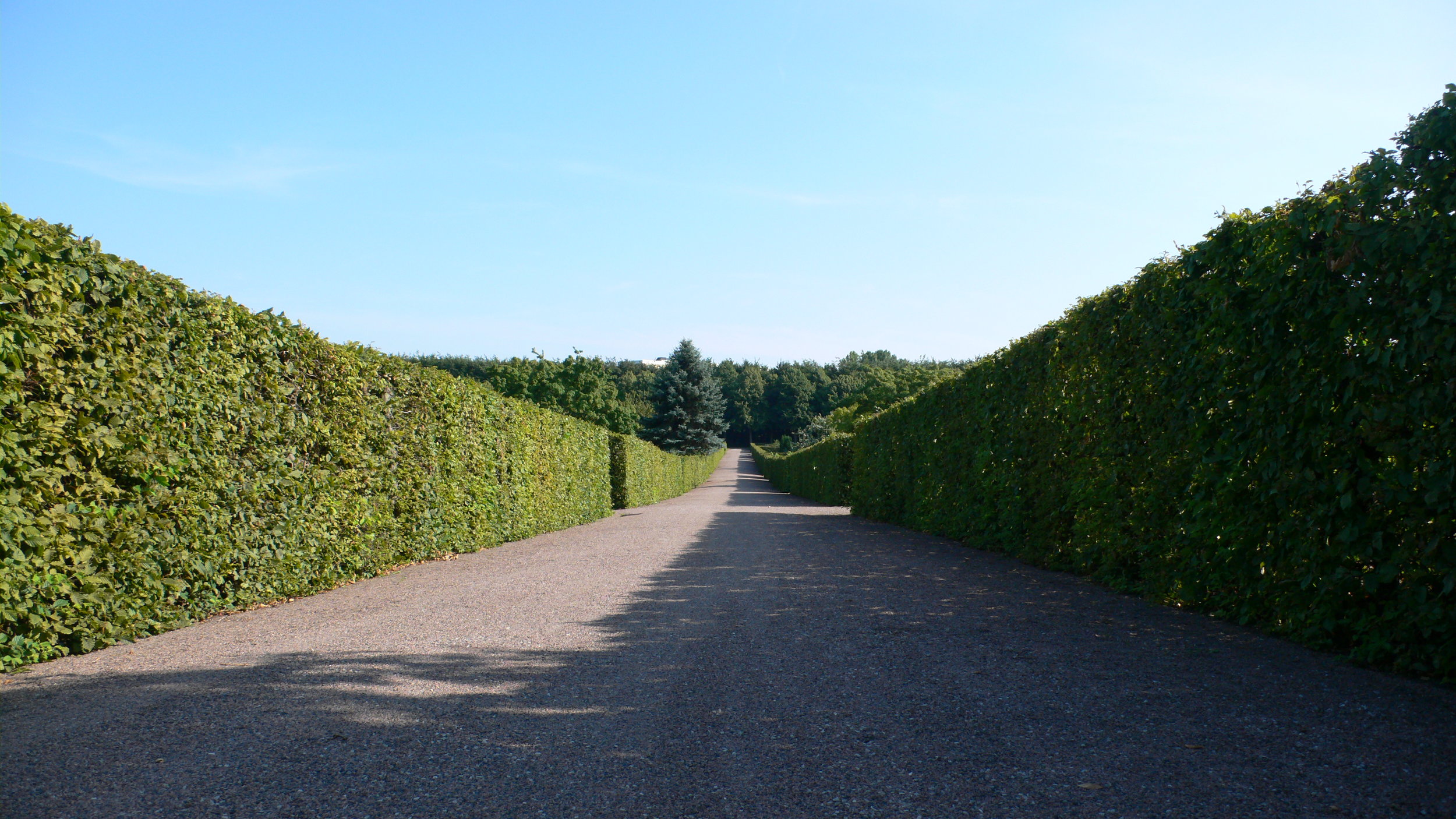 “Through an Intensive Architecture: the composition of Silence as an architectonic sensation” is a scientific paper presented at the International Symposium “The Place of Silence: Experience, Environment and Affect,” at the Edinburgh School of Archi