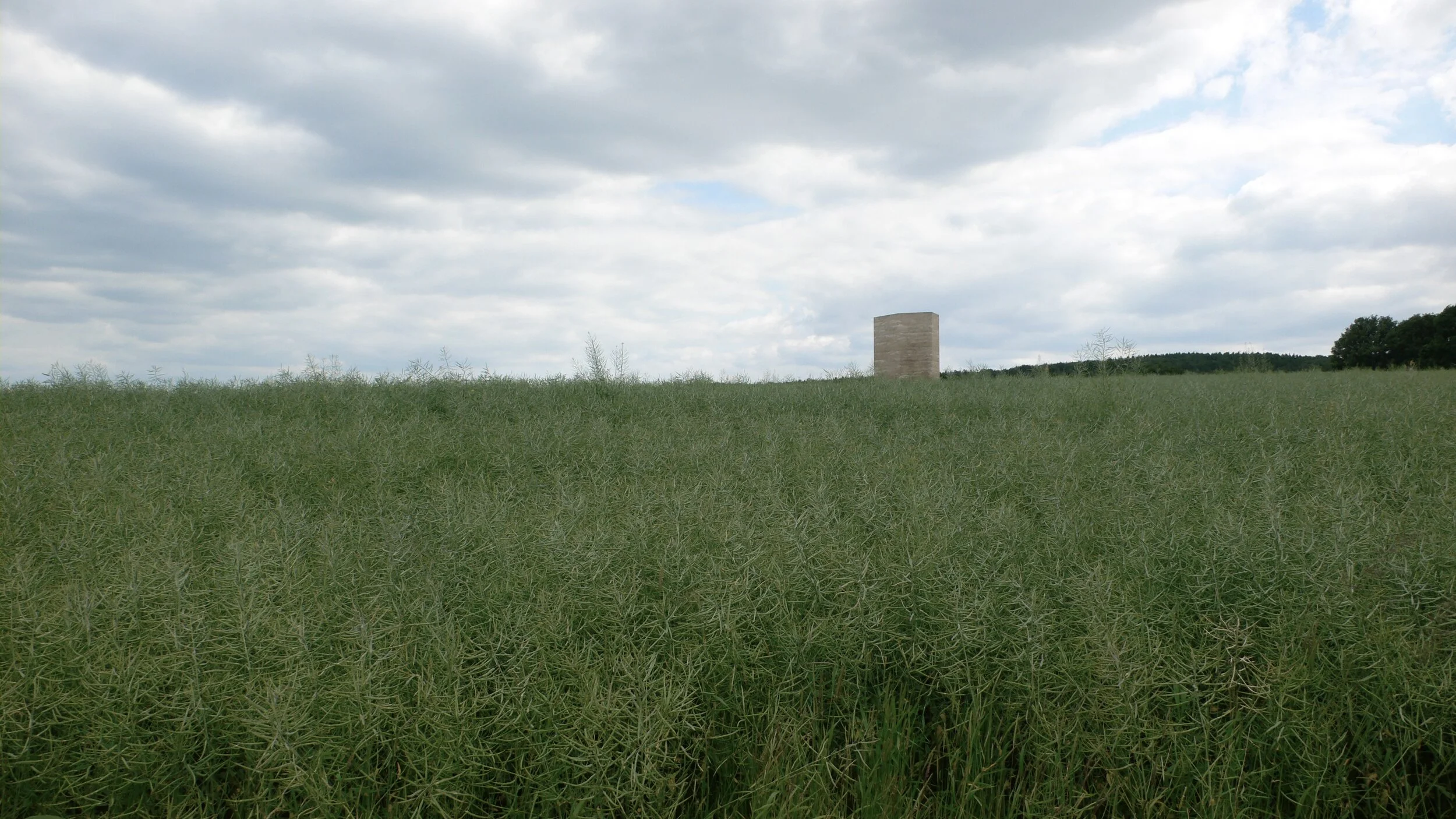  This text corresponds to my first attempt to outline the concept of “Poetic Landscape” during a theoretical class within the workshop “Constructed Landscapes,” at the Studio 3: Experimental Architectures of the Innsbruck School of Architecture. 
