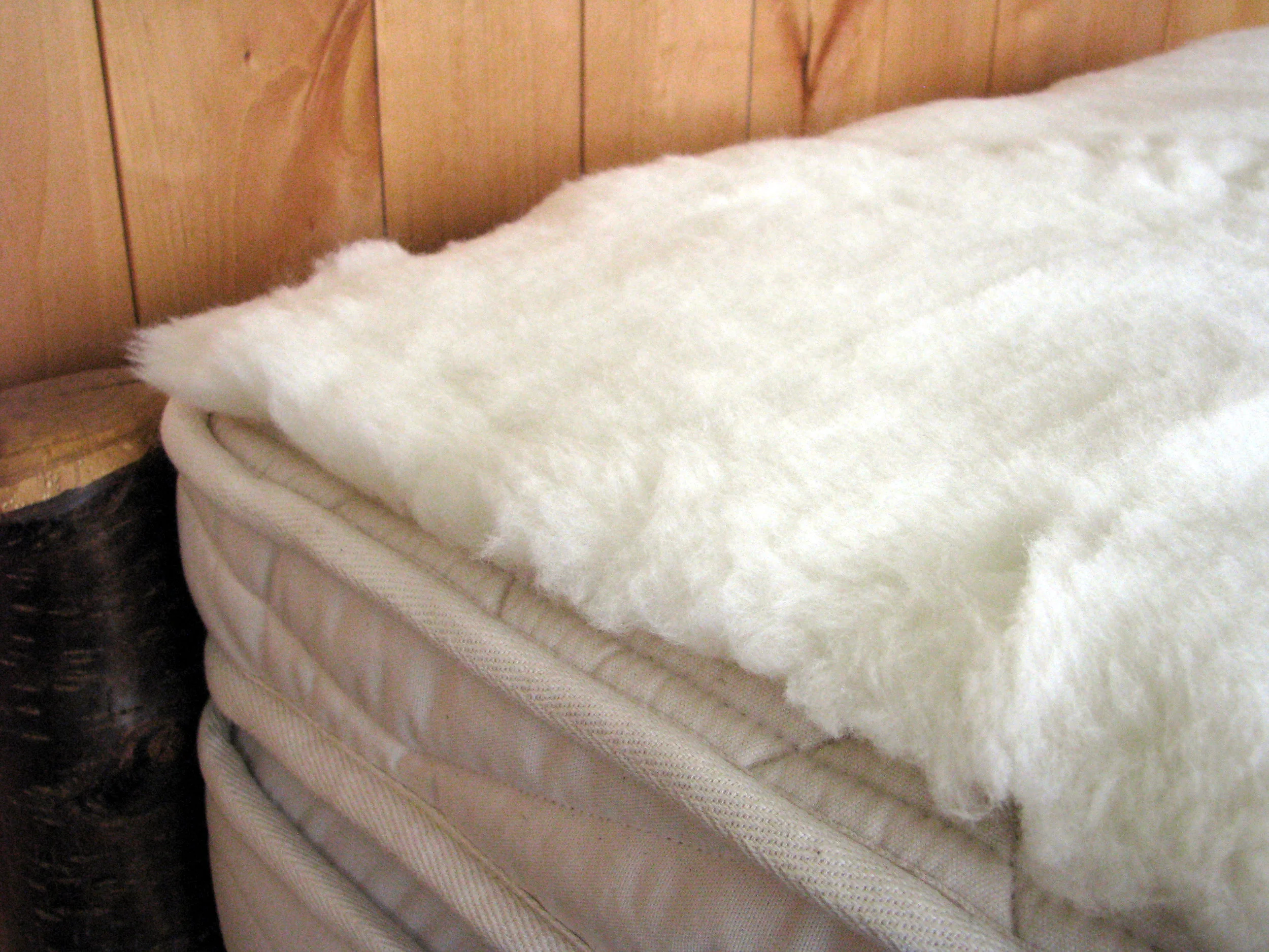 happy lamb fleece wool topper 3.jpg