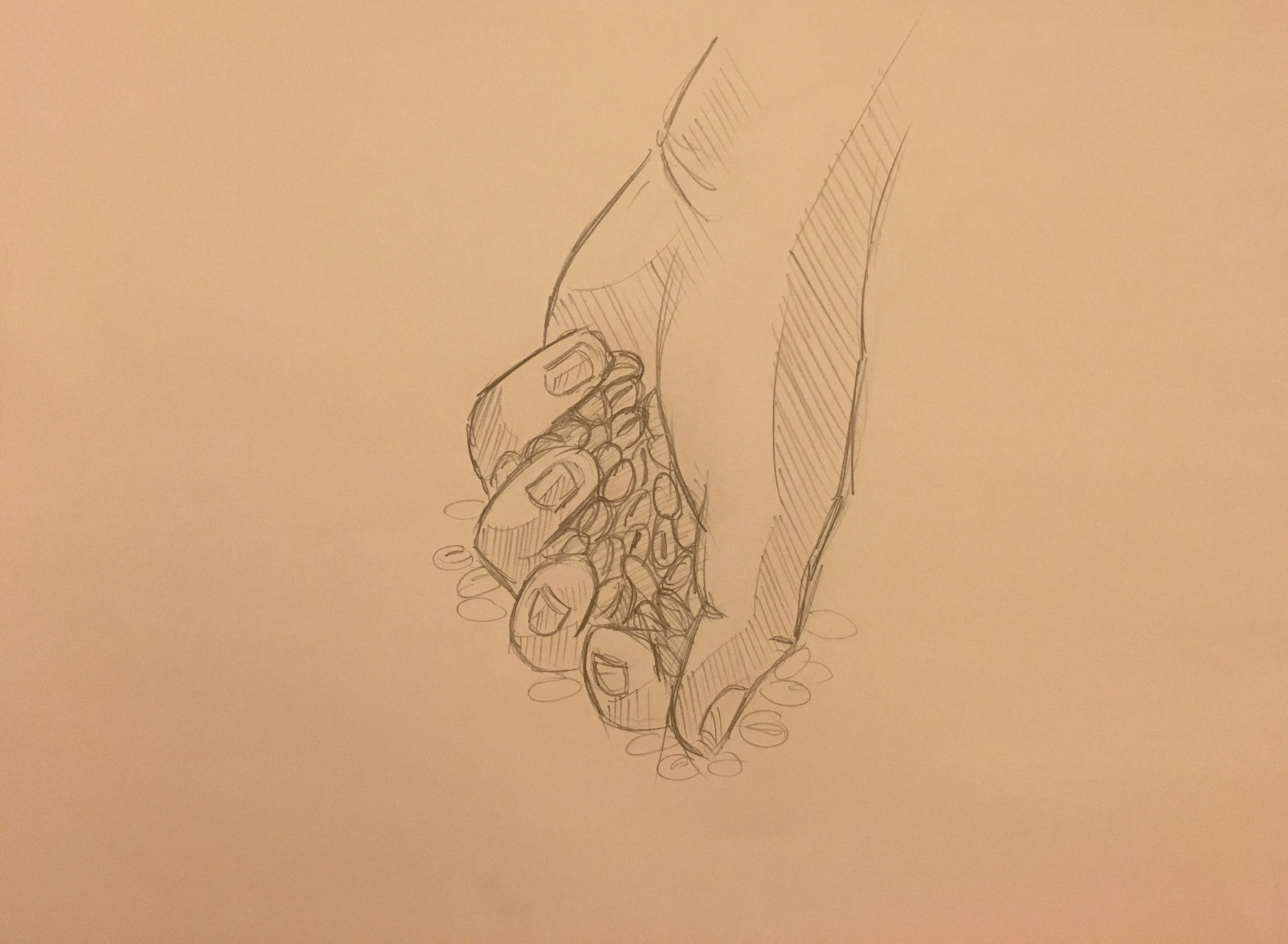 Animation_Test1.gif