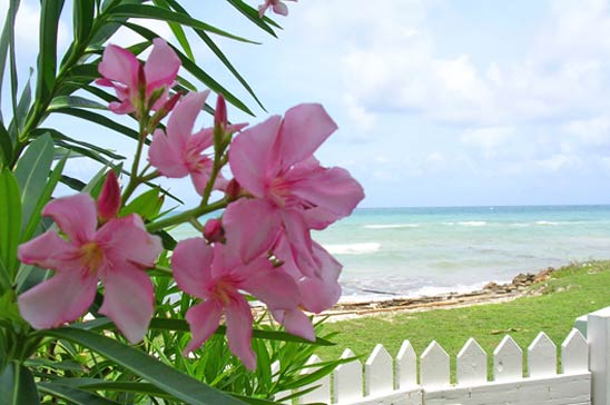 ebbtide_silver_sands_jamaica02.jpg
