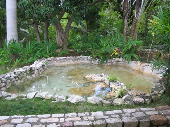 drambuie_estate_montego_bay_jamaica25.jpg