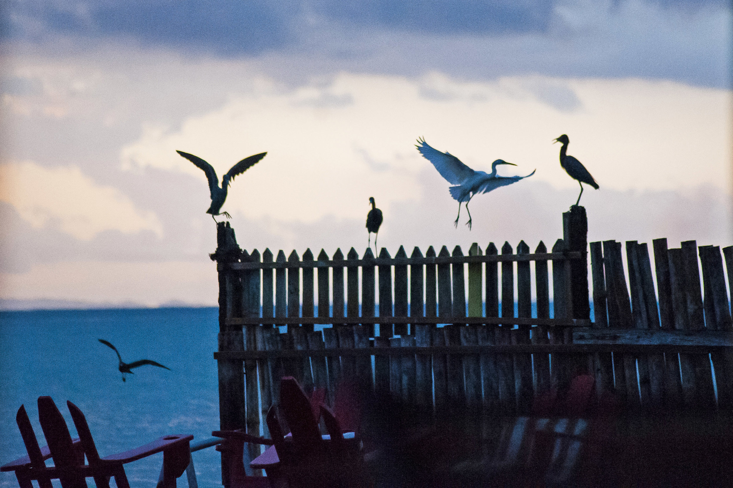 Horizon_Landscape_Bluefileds_Jamaica29.jpg