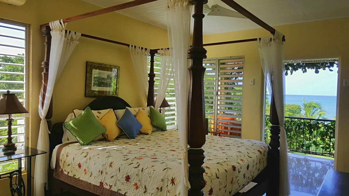 Coquina_Treasure_Beach_Jamaica_02.jpeg
