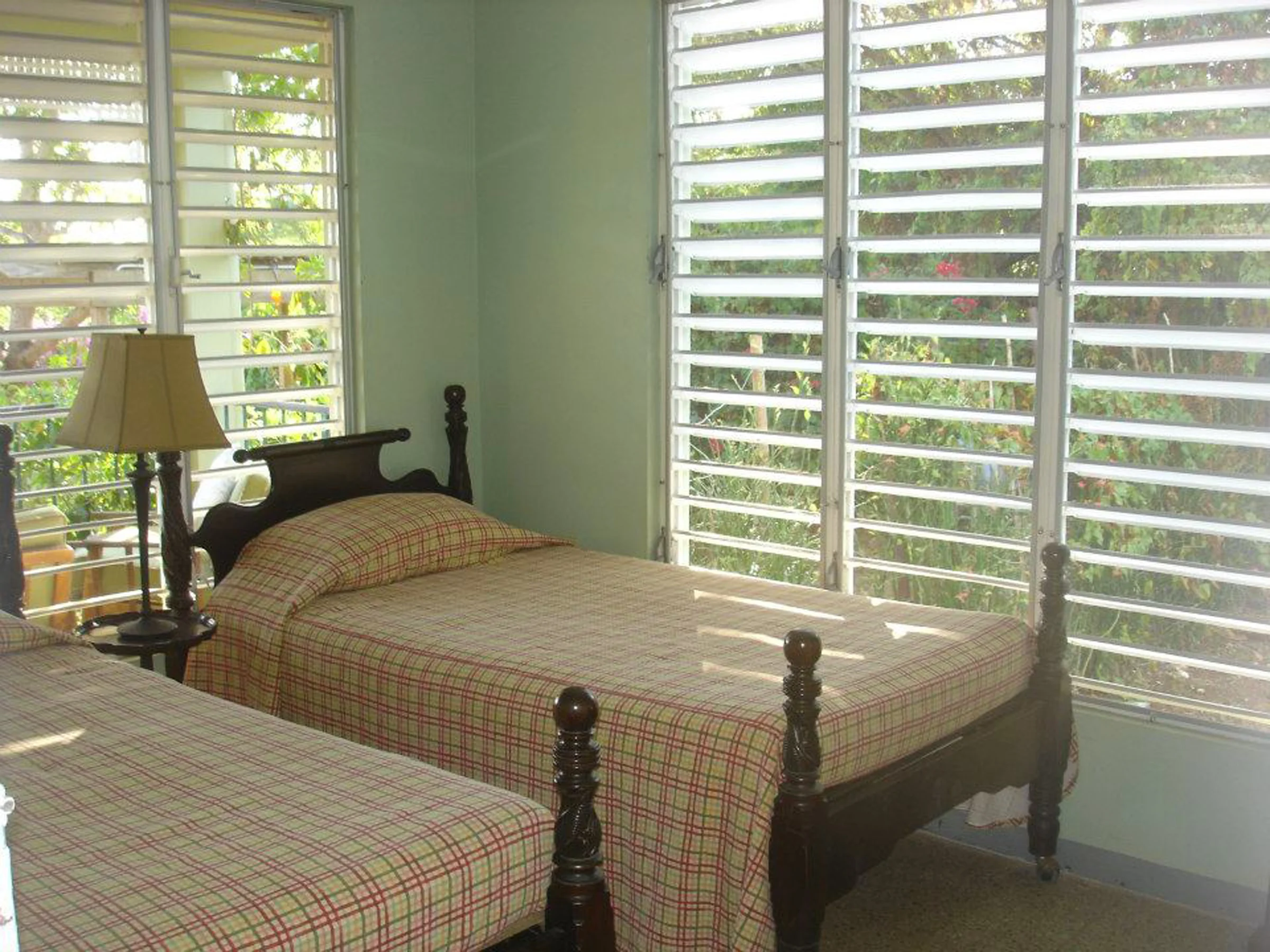 Coquina_Treasure_Beach_Jamaica_04.jpg
