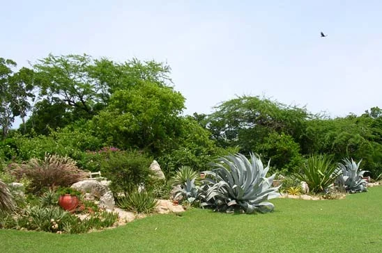 image13.jpg