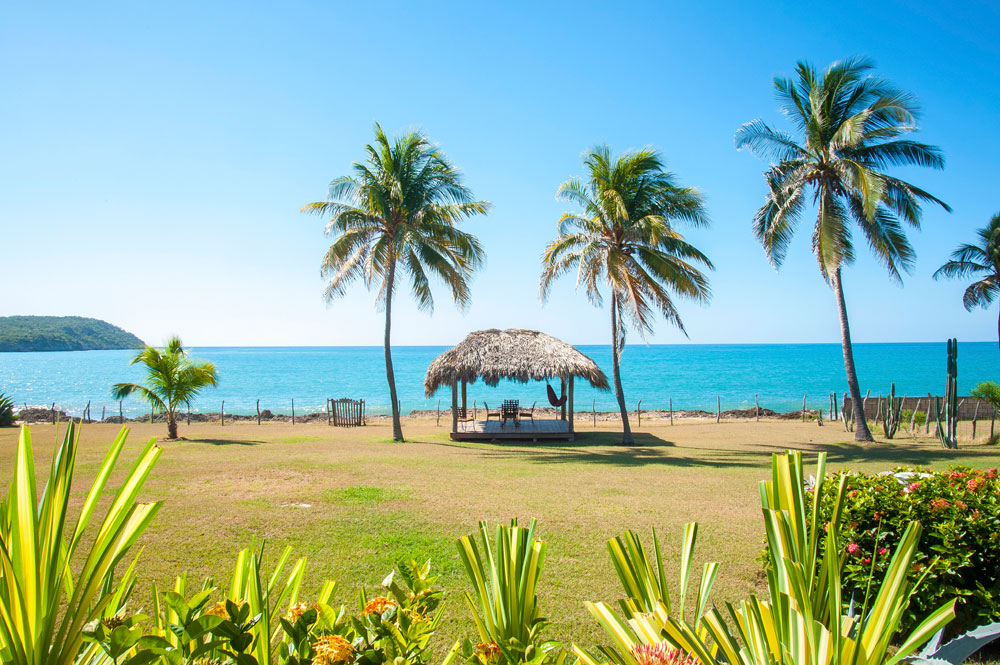 Driftwood_Treasure_Beach_Jamaica_01.jpg