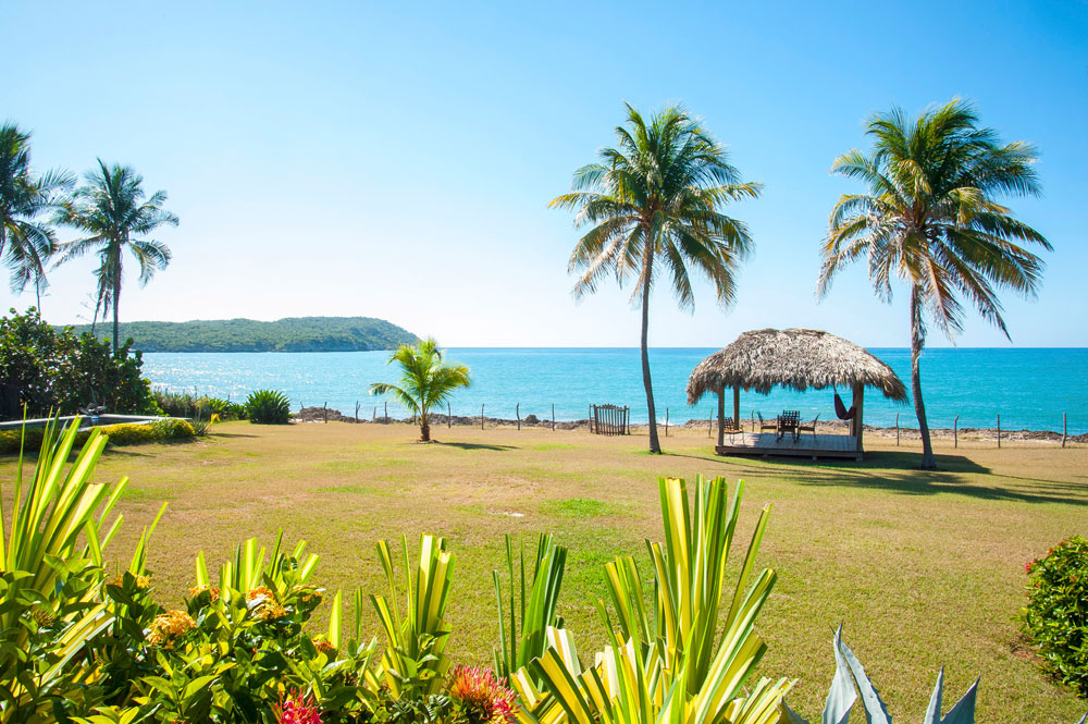 Driftwood_Treasure_Beach_Jamaica_02.jpg