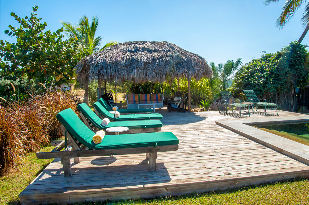 Driftwood_Treasure_Beach_Jamaica_04.jpg