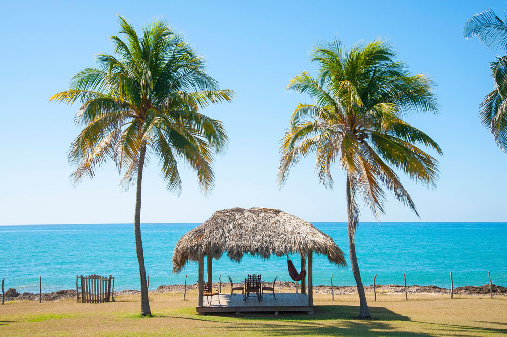 Driftwood_Treasure_Beach_Jamaica_30.jpg