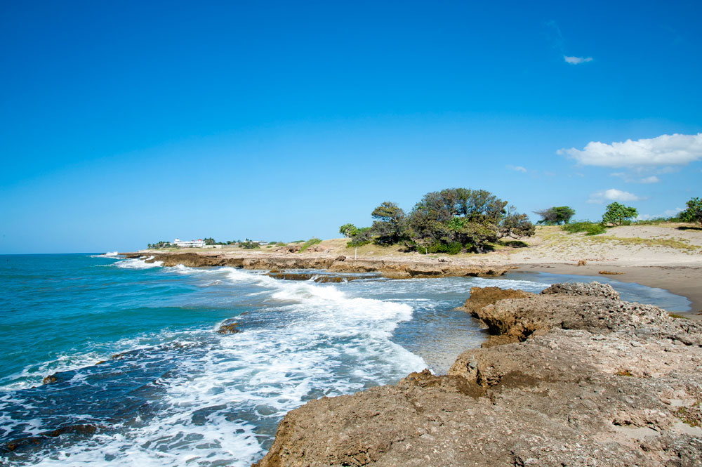 Driftwood_Treasure_Beach_Jamaica_33.jpg