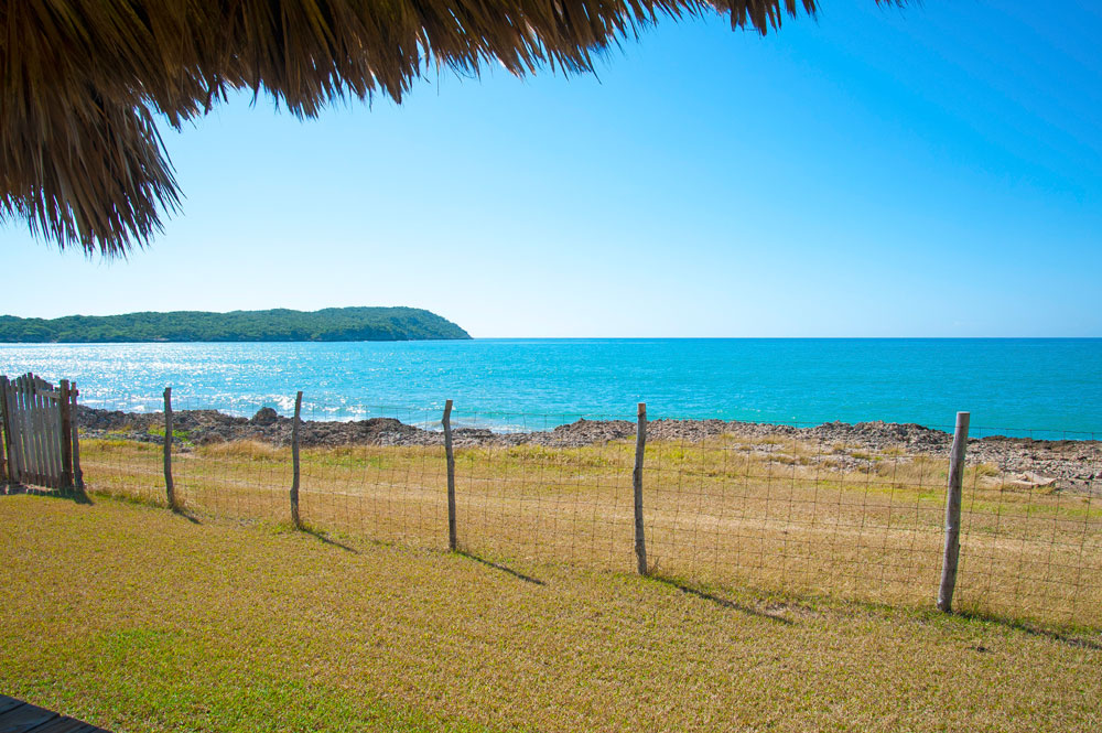 Driftwood_Treasure_Beach_Jamaica_32.jpg