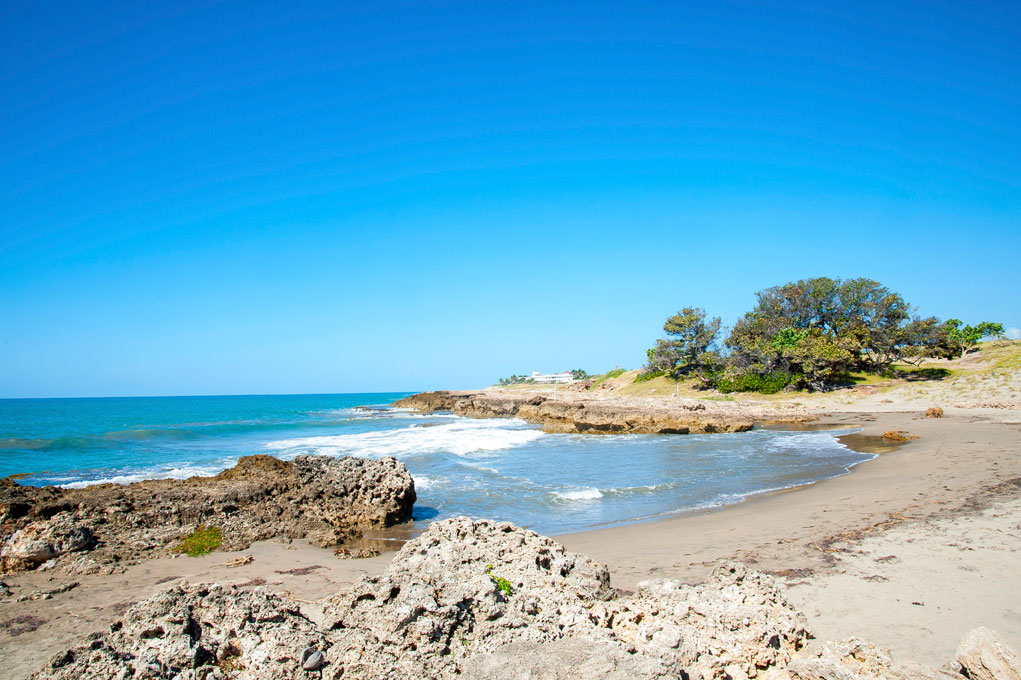 Driftwood_Treasure_Beach_Jamaica_34.jpg