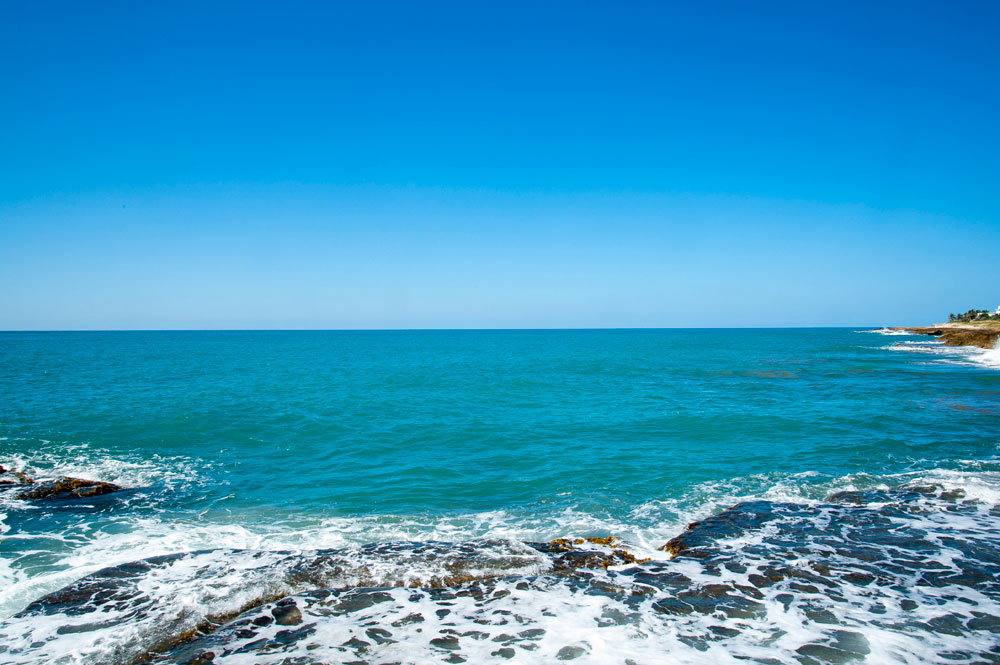 Driftwood_Treasure_Beach_Jamaica_37.jpg