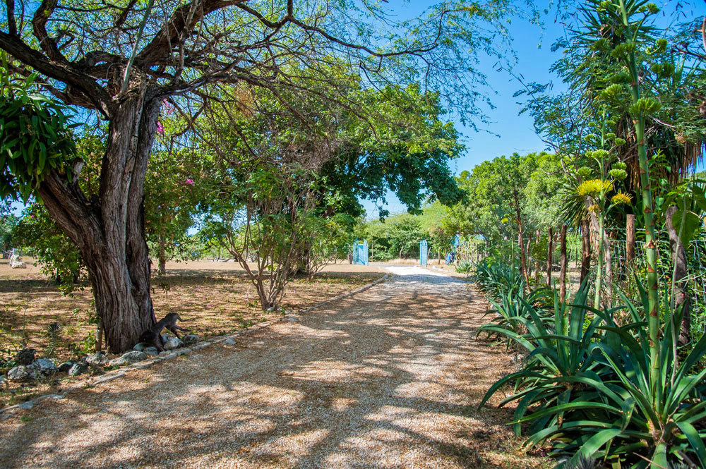 Villa_Arcadia_FortCharles_Treasure_Beach_05.jpg