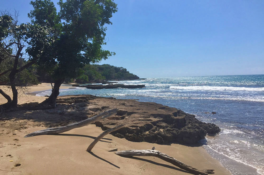 Villa_Arcadia_FortCharles_Treasure_Beach_029.jpg