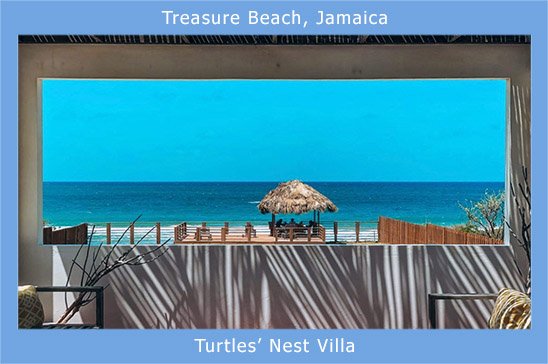 treasure_beach_turtles_nest.jpg