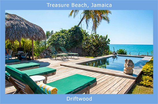 treasure_beach_jamaica_driftwood.jpg