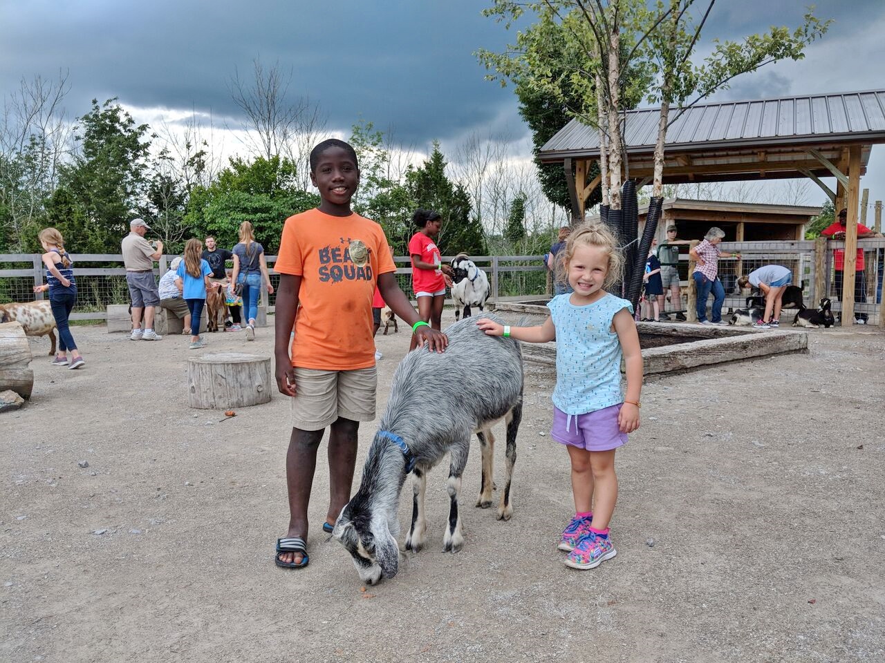 Creation Museum animals.1jpeg.jpeg