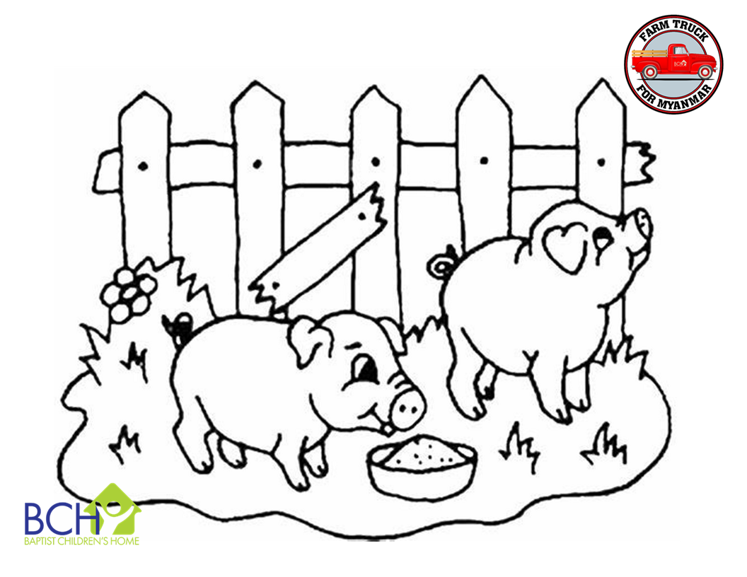 Pigs Coloring Sheet
