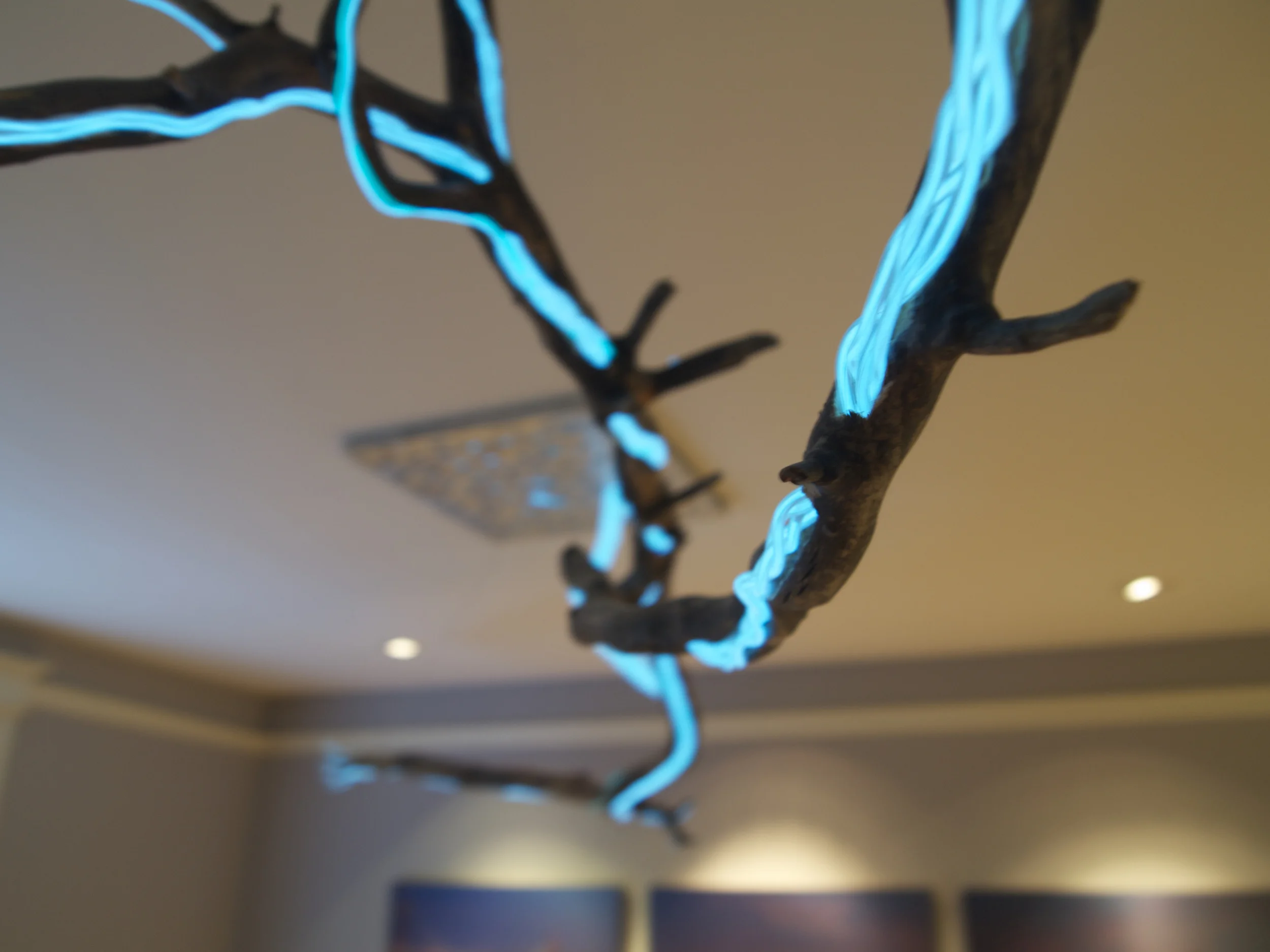 What if our homes could channel light directly from the sky?