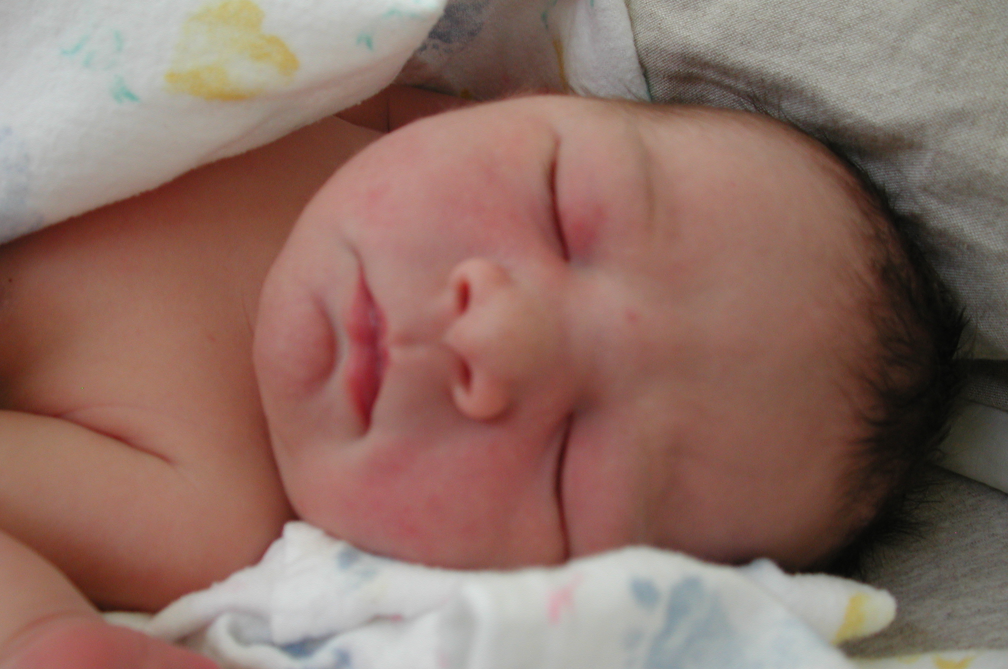 Only hours old here.
