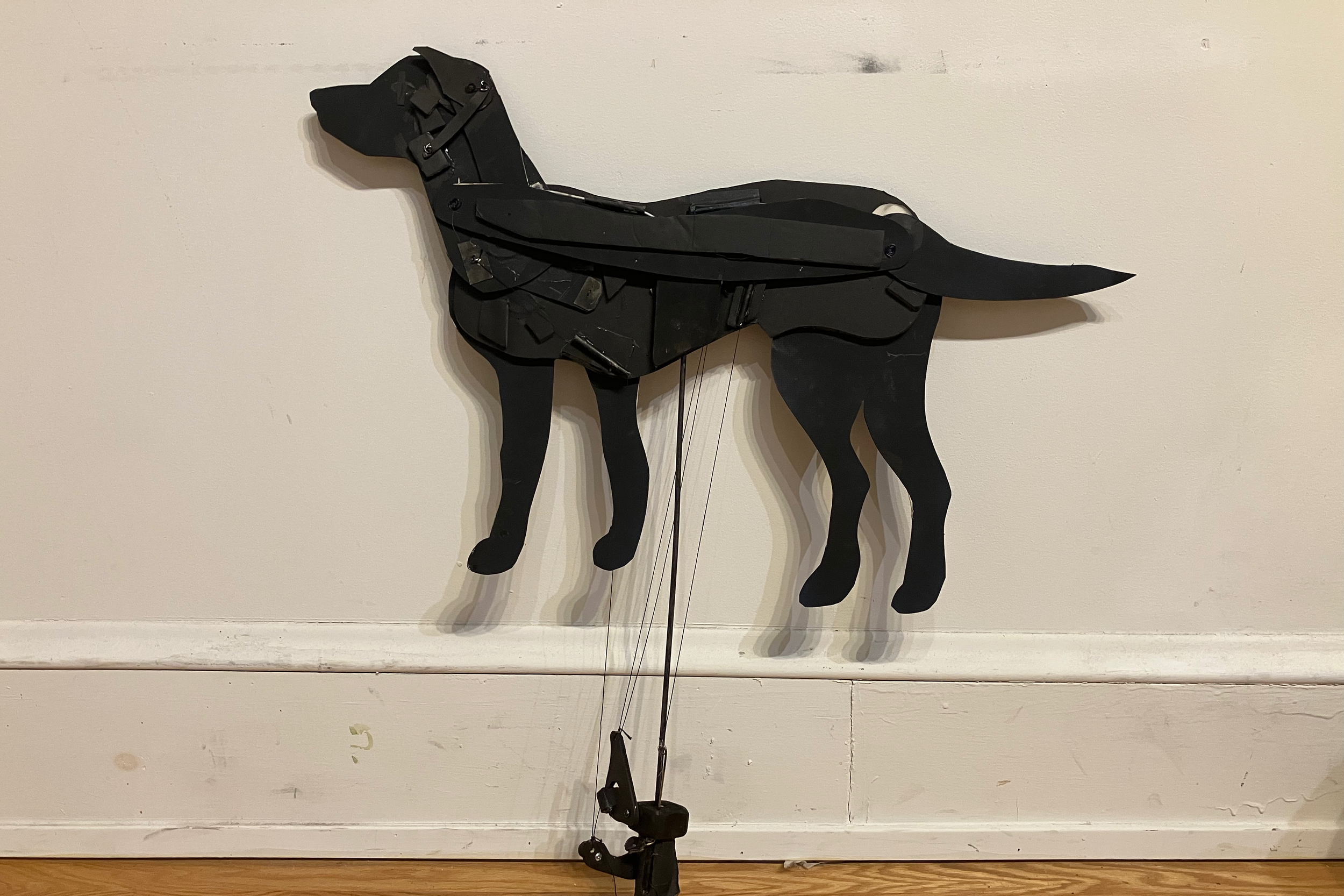 does a dog have buddha nature? / chicago