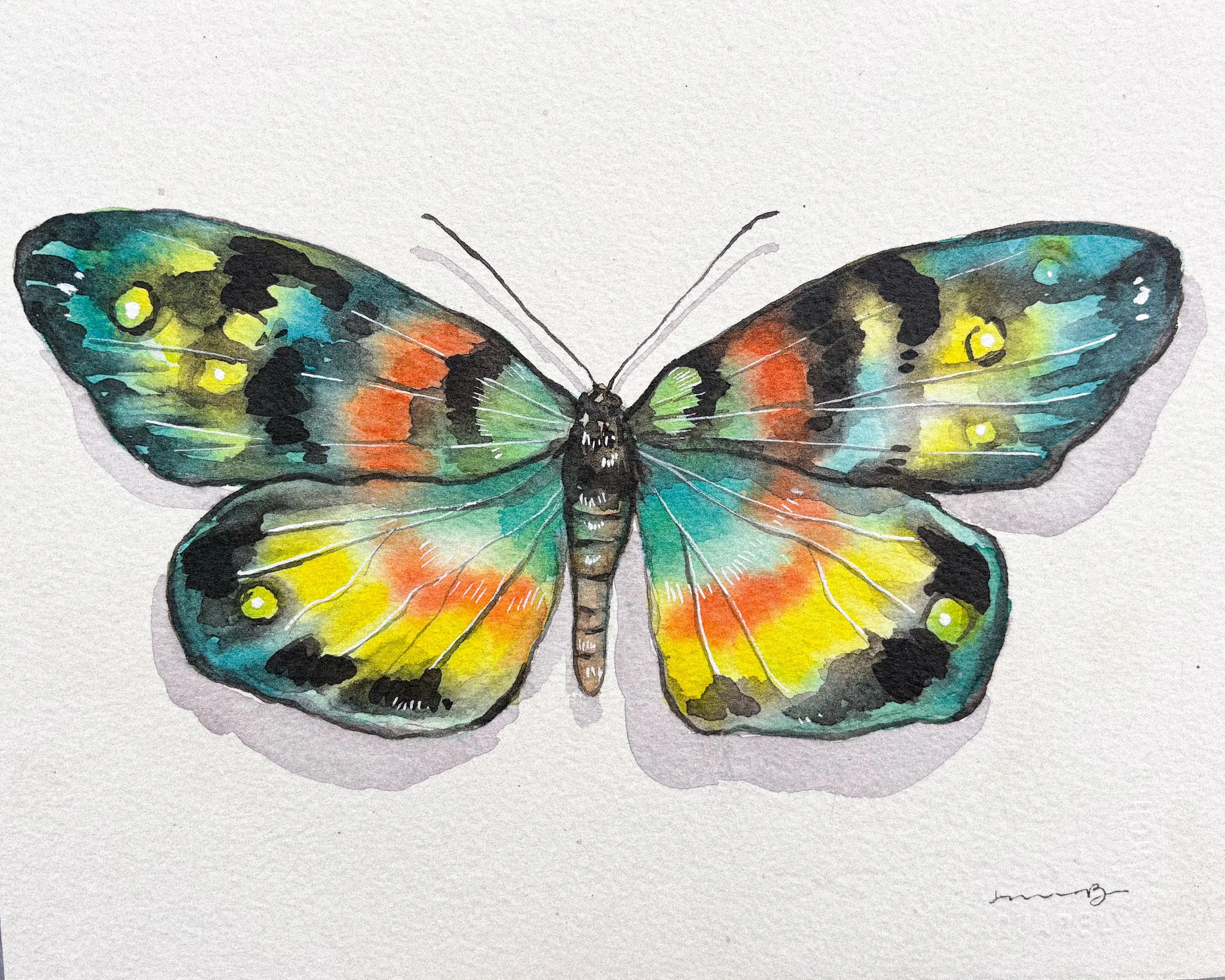 Colorful Moth - (PRINT)