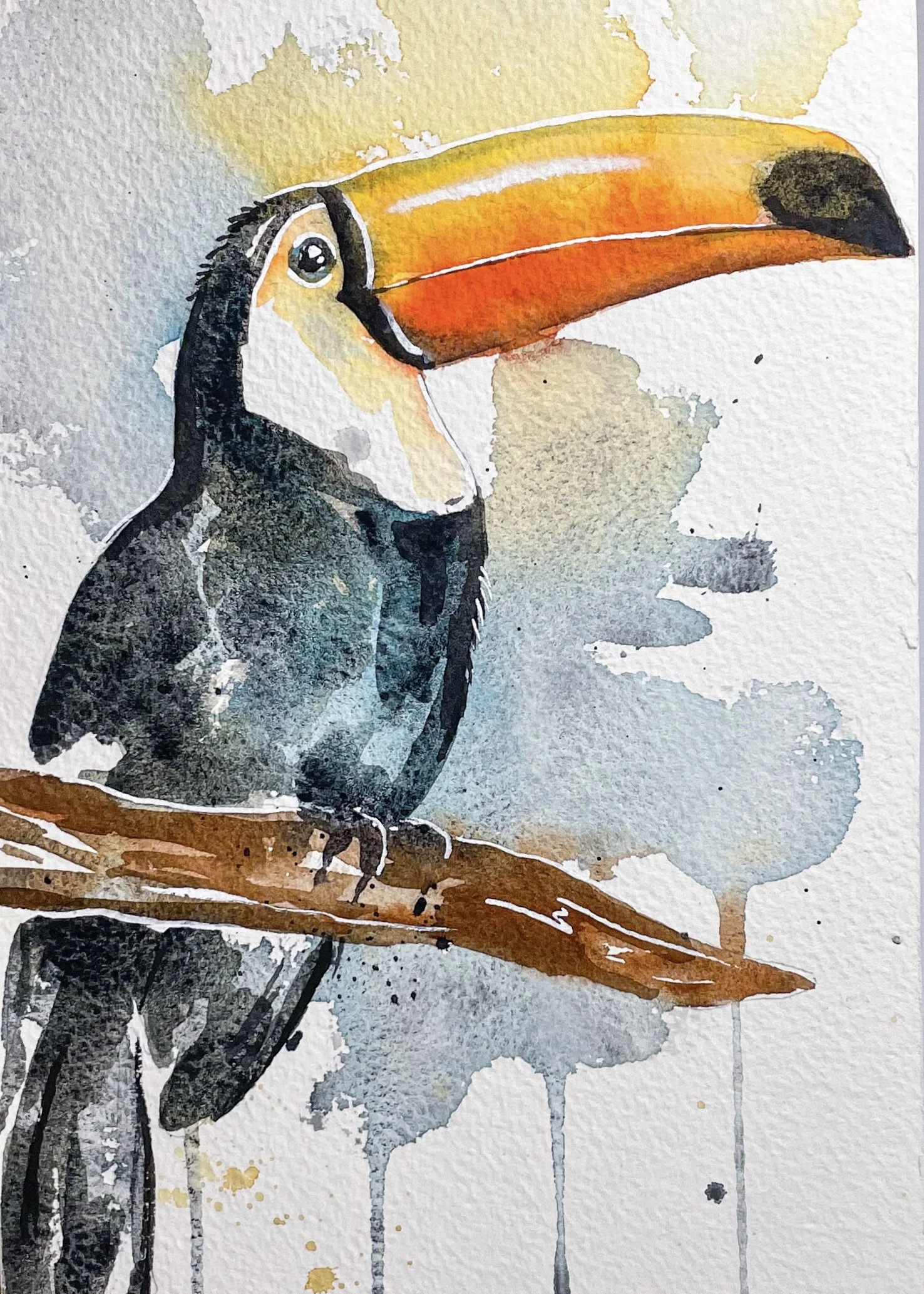 Toucan - PRINT
