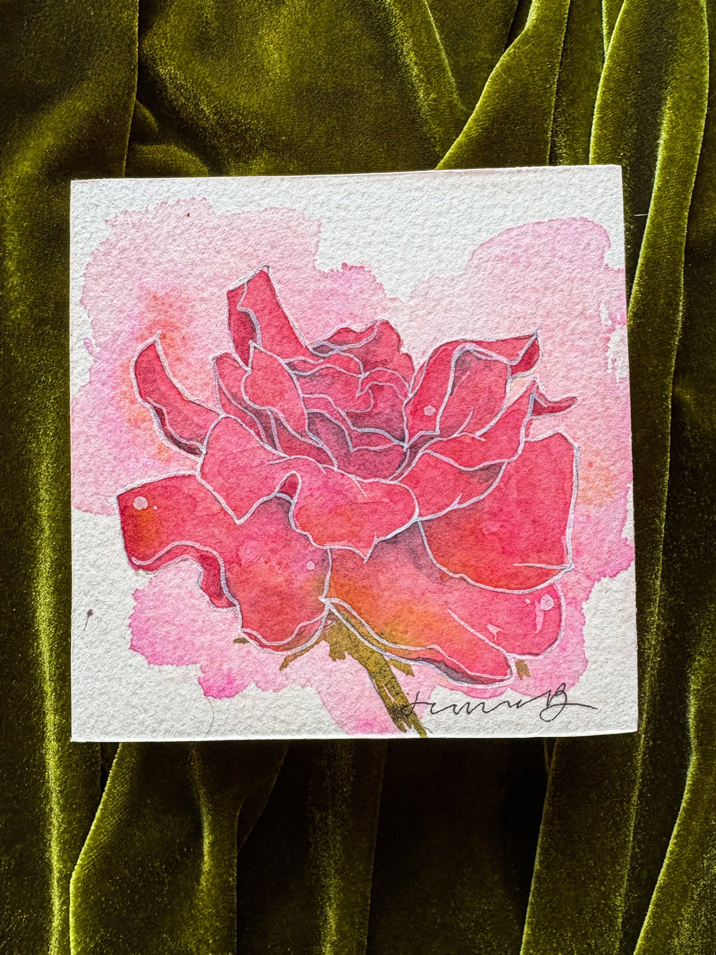 “Wild Rose in Pink”