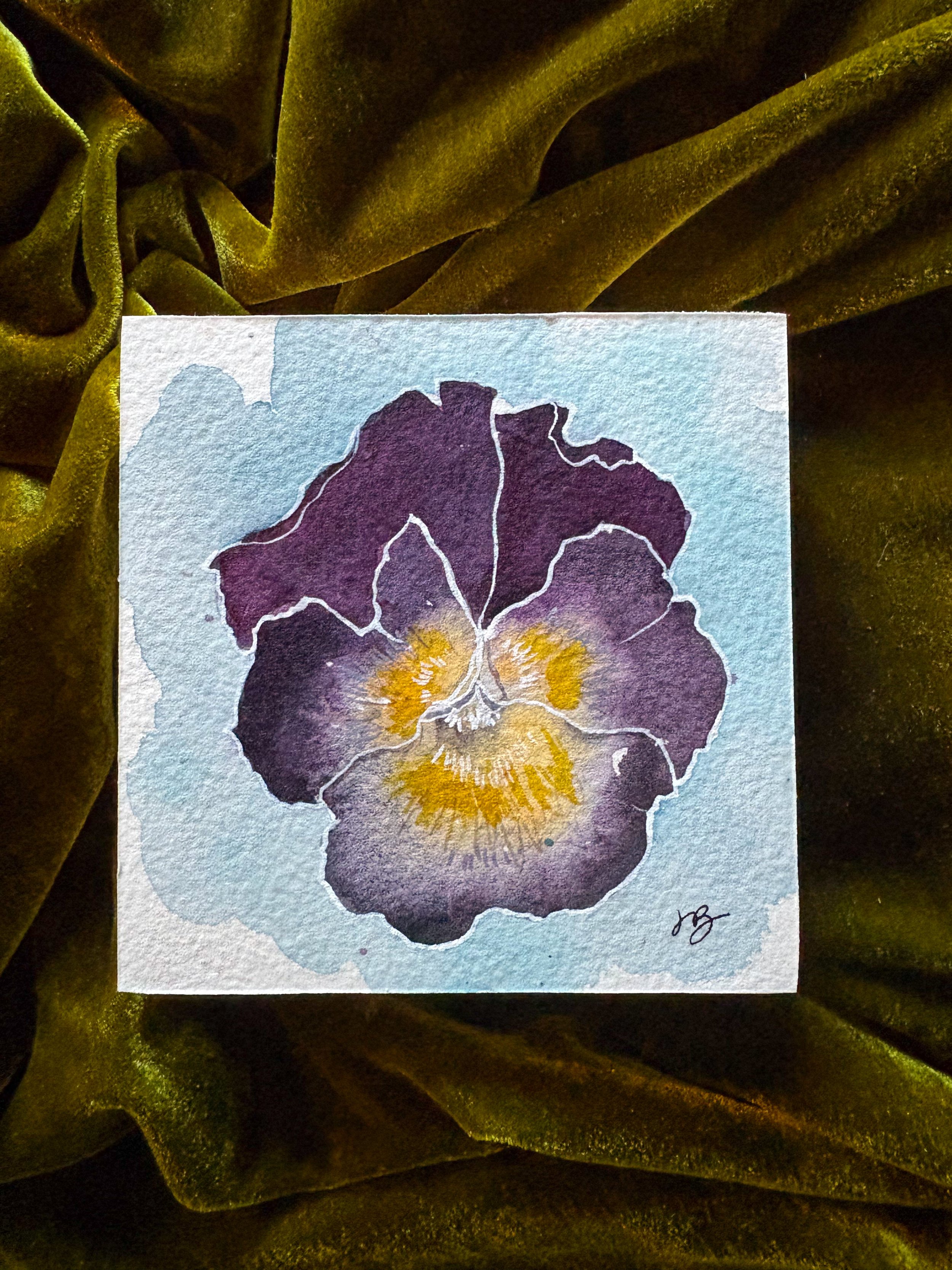 “Purple Pansy”