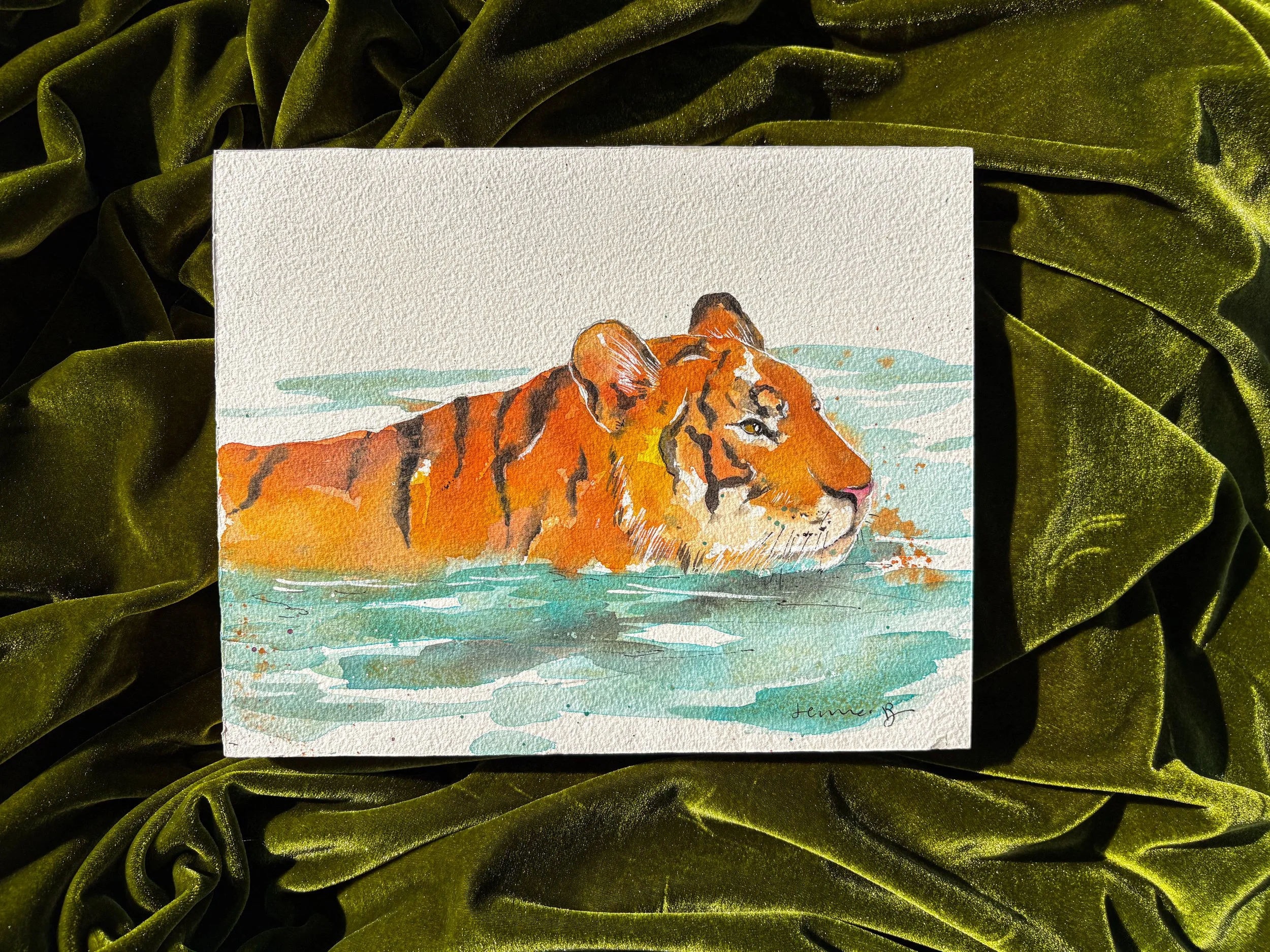 Swimming tiger