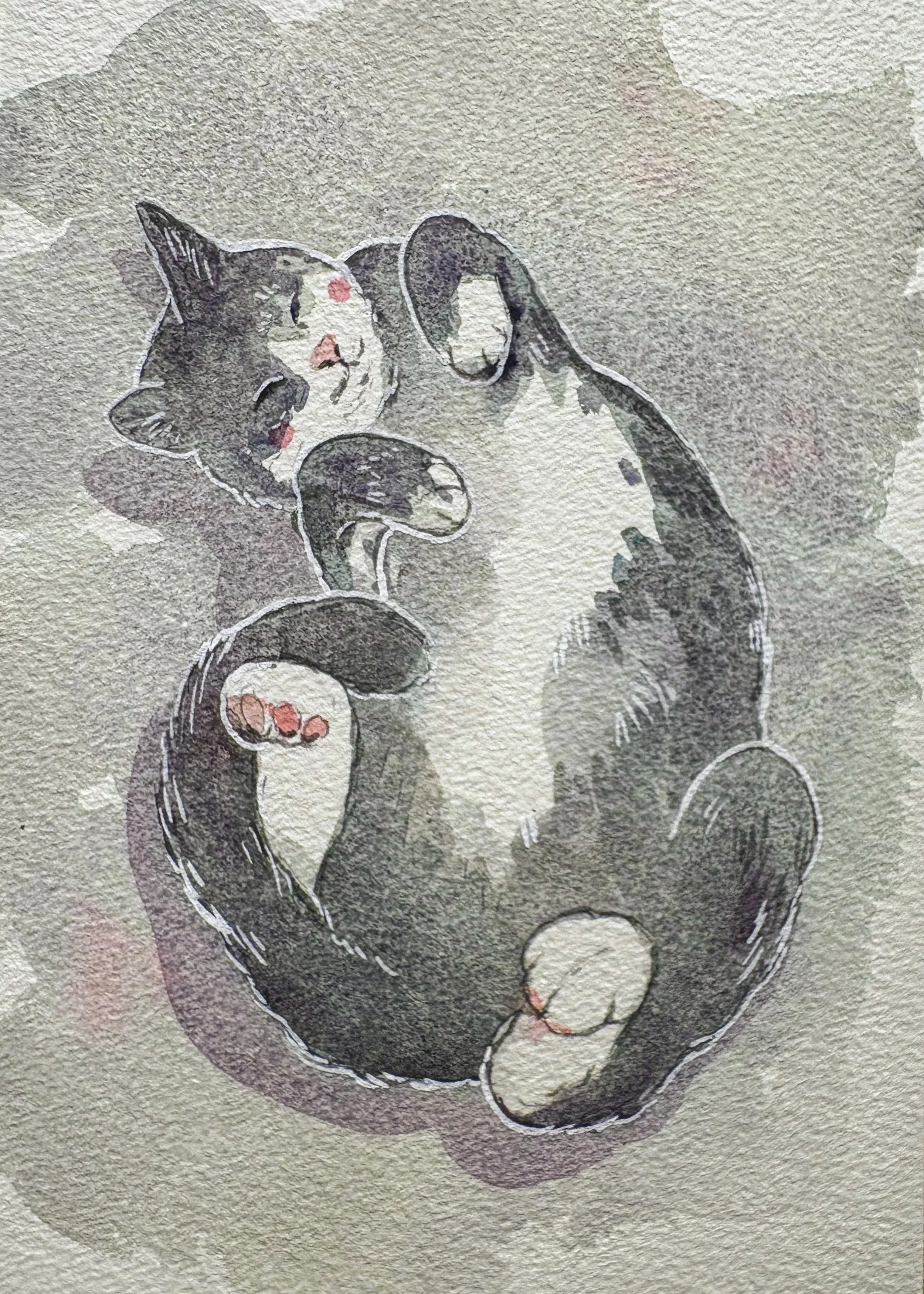 Grey Cat in Watercolor - (PRINT)